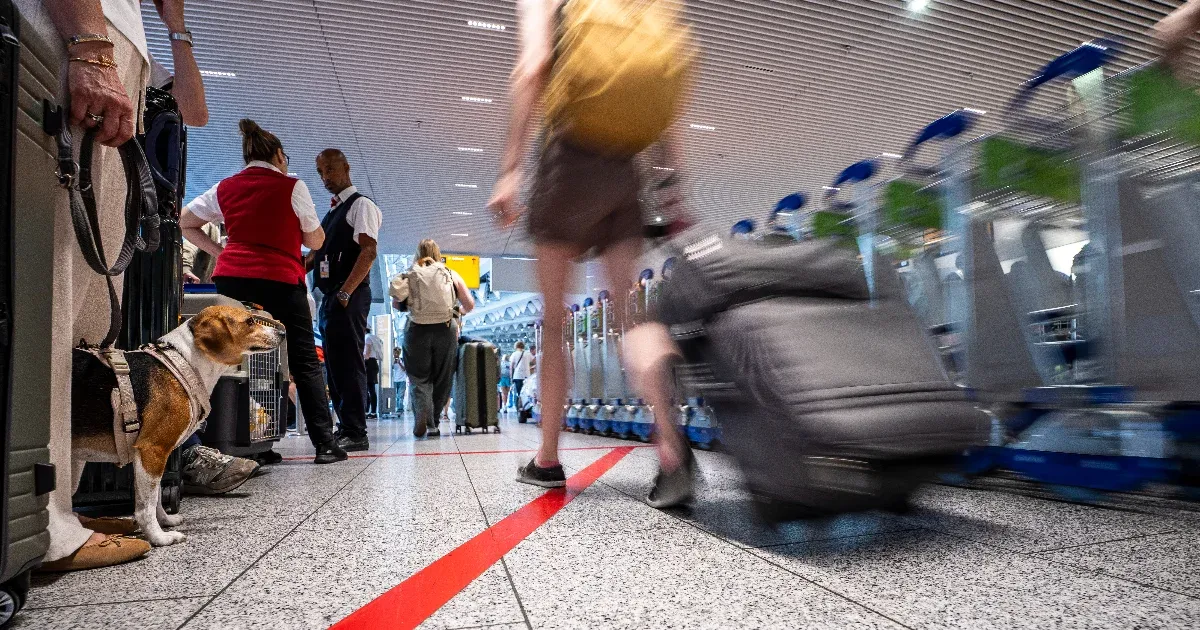 Két reptéri dolgozó halt meg maláriában – Mi az, amit tudni érdemes?