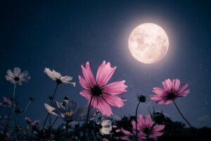 Forrás: Farmers' Almanac